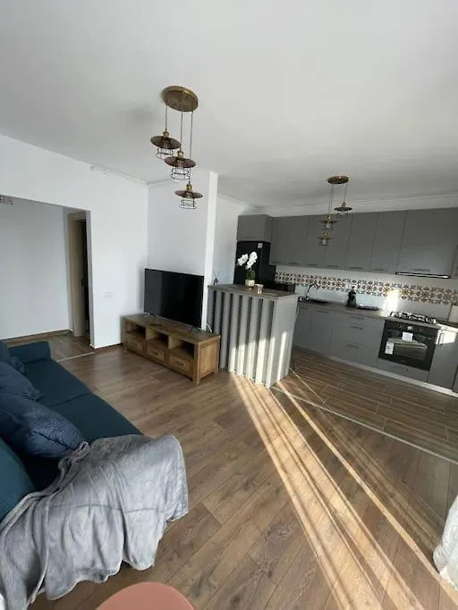 Апартаменты Brancoveanu Apartament Бухарест