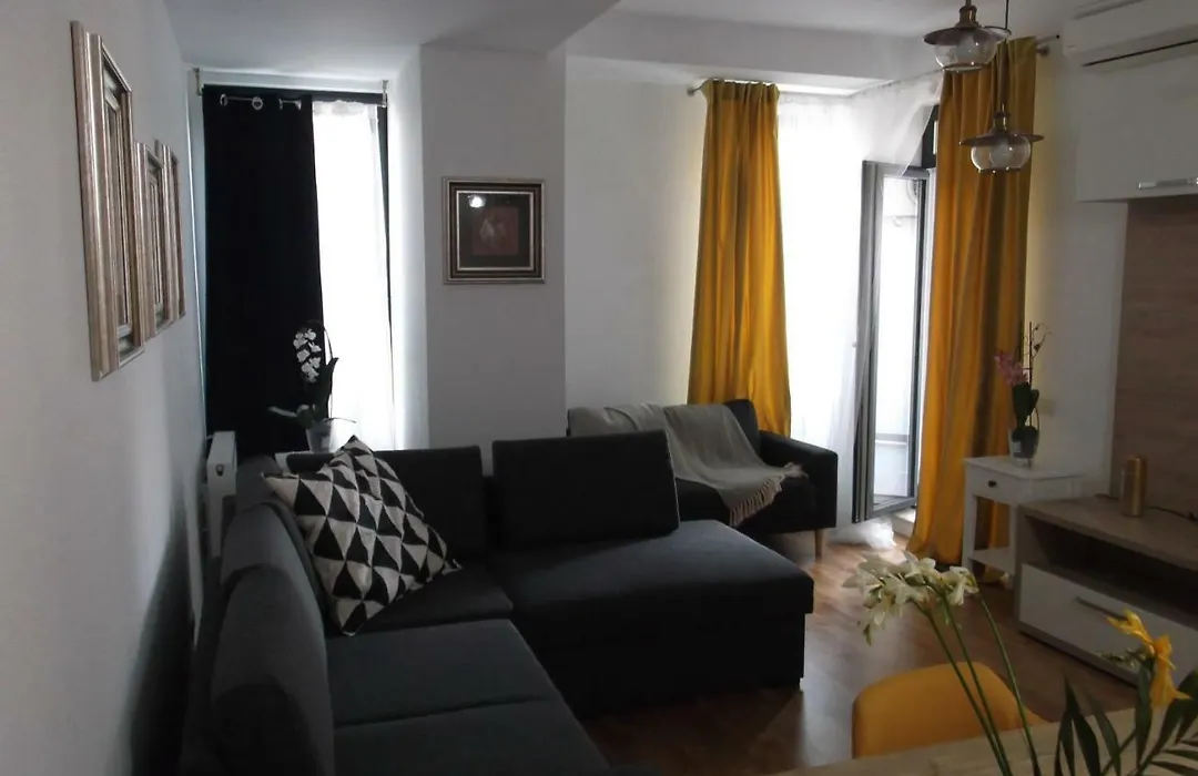Strada Smaranda Braescu Apartment